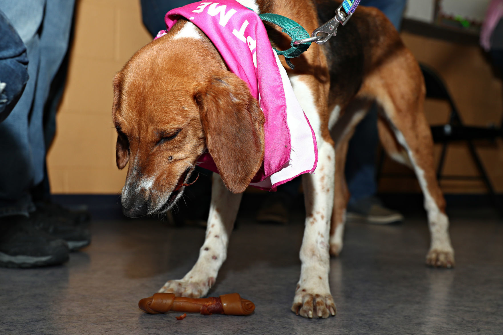 20200213_cdp_news_spca081.JPG